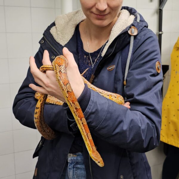 Besuch hinter den Kulissen im Bereich der Gifttiere im Zoo Basel